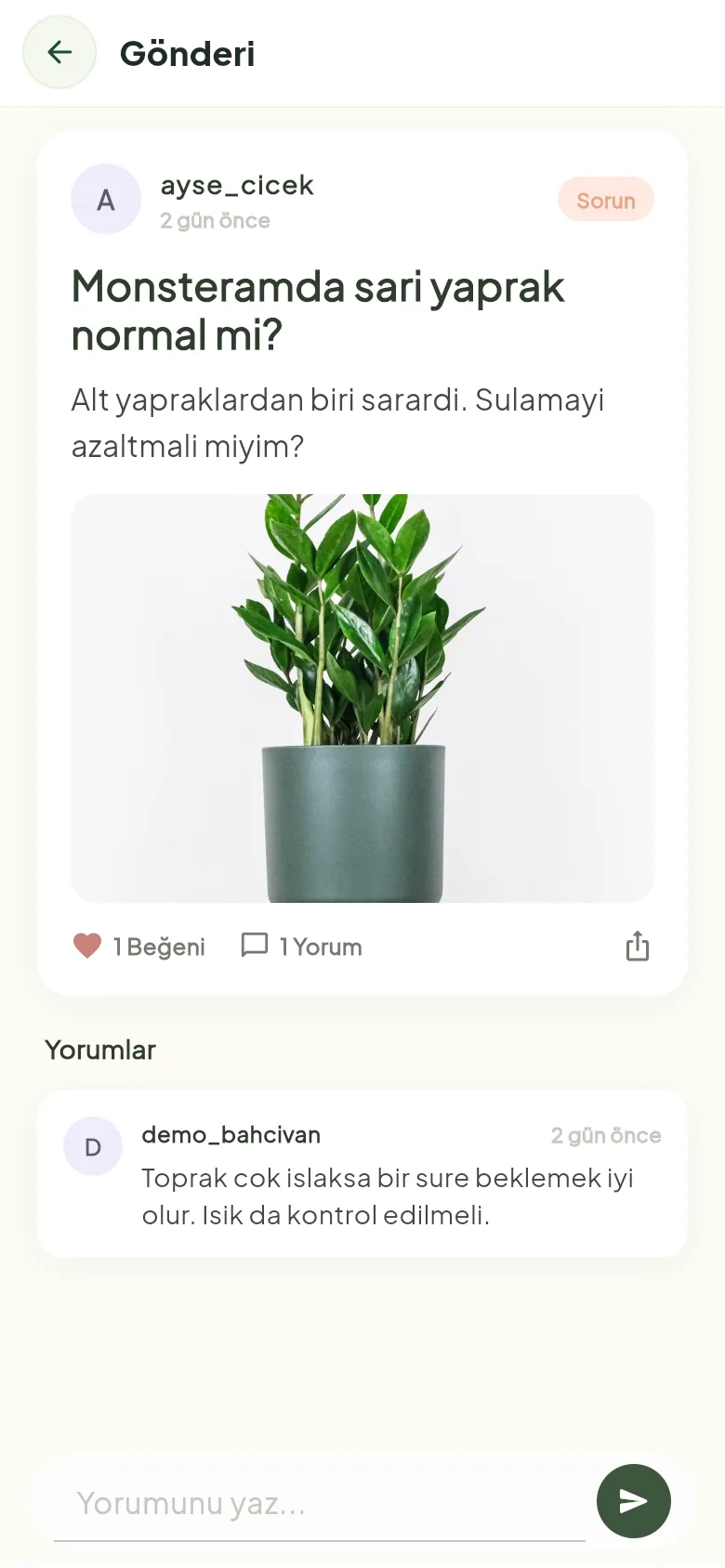 Gönderi detayı: soru, fotoğraf ve yorumlar (örnek ekran)